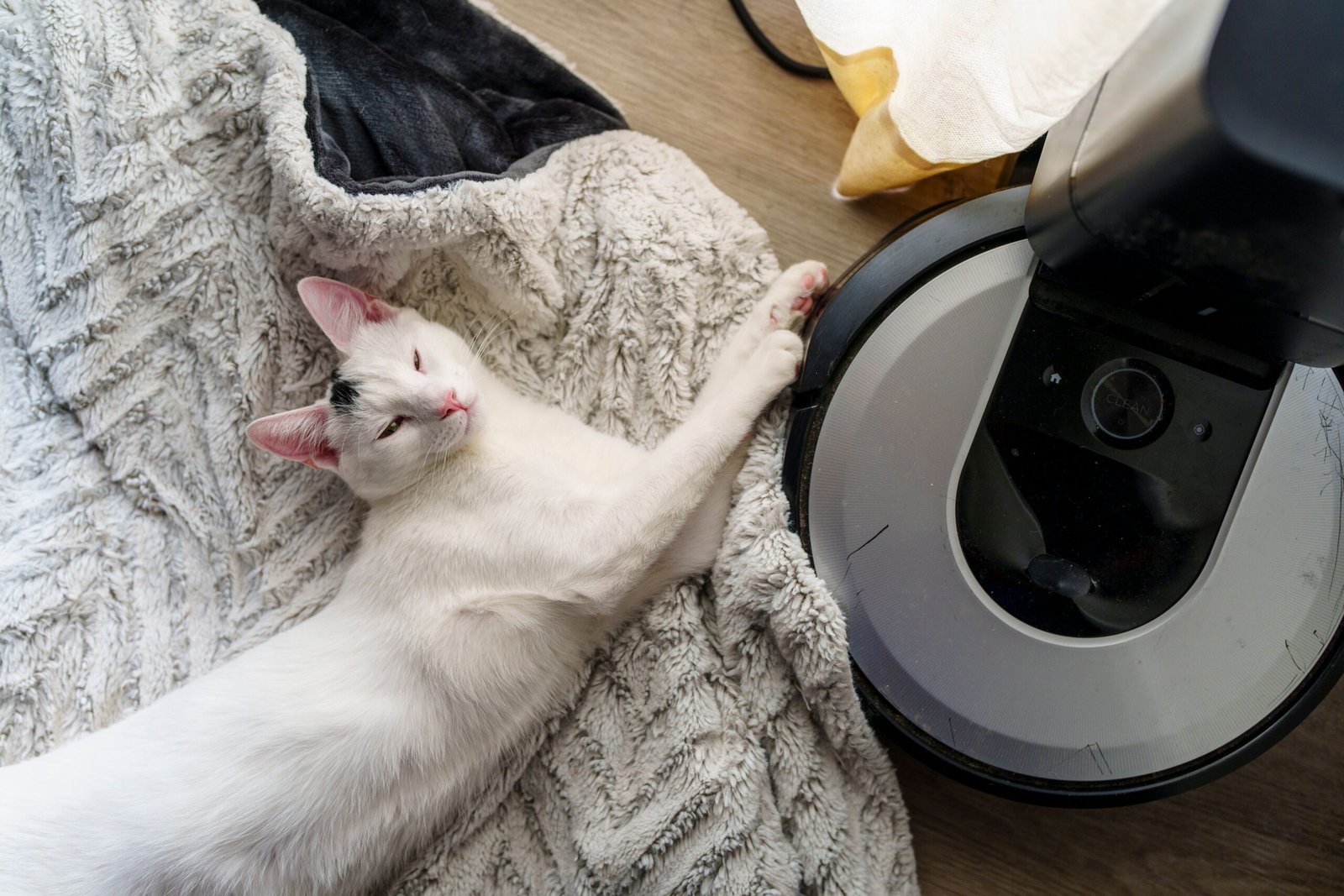 Best Robot Vacuums for Pet Hair in Australia (2026)